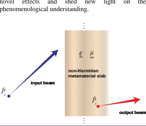 Figure 2 – Schematic representation of the complex-coordinate TO mapping between a “source” and an “image” 