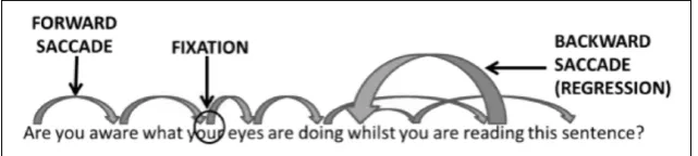Figure 2. Conceptual illustration of eye movements while reading.