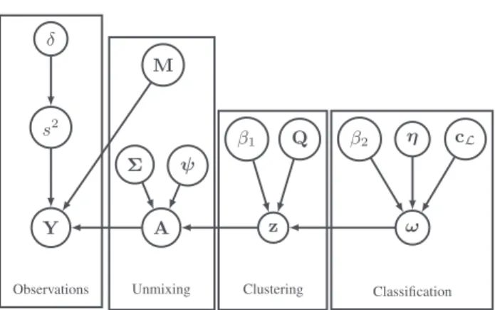 Fig. 1: Directed acyclic graph of the proposed model.