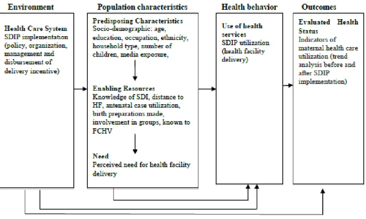 Figure 3: SDIP utilization model used in the study (adopted from Anderson, 1995) 