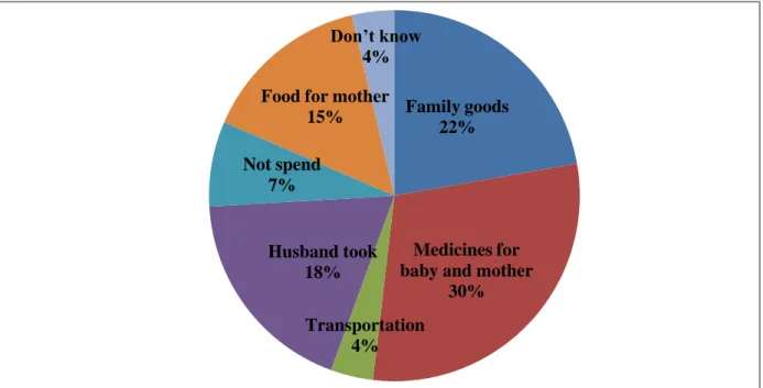 Figure 5: SDIP expenditure items  5.1.7.  Satisfaction from services 