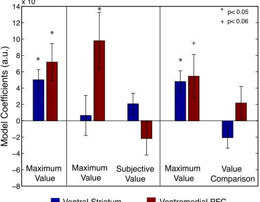 Figure 4. Analysis of maximum value in ventromedial prefrontal cortex and ventral striatum
