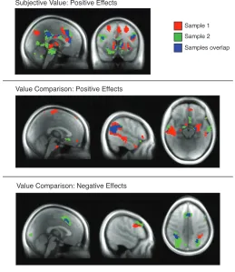 Figure 6. Imaging results replicate in both samples. Subjective value and value comparison 