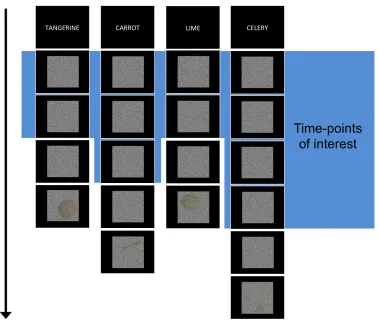 Figure 1: Experimental design.  Participants were presented with cues of items to detect, followed 