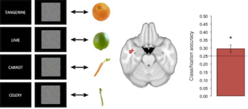 Figure 3: Generalizing from top-down activity to visual perception.  Left: A classifier was trained 