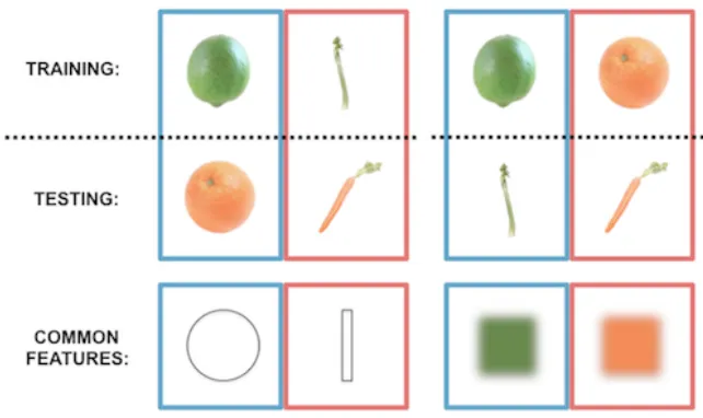 Figure 4: Feature-based generalization.  Classifiers were trained to distinguish noise trials in 