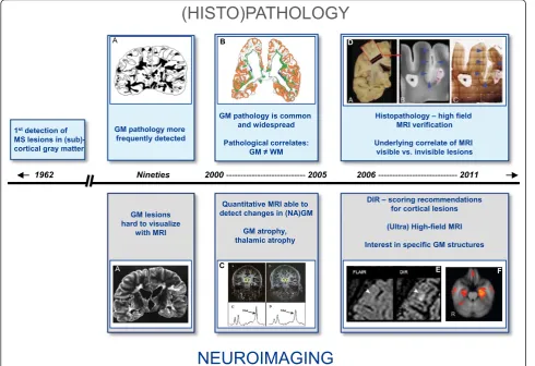 Figure 1 Timeline of GM imaging in MS20from Oxford University Press.. A schematic overview of developments in the field of GM imaging in MS from the beginning of theth century until now