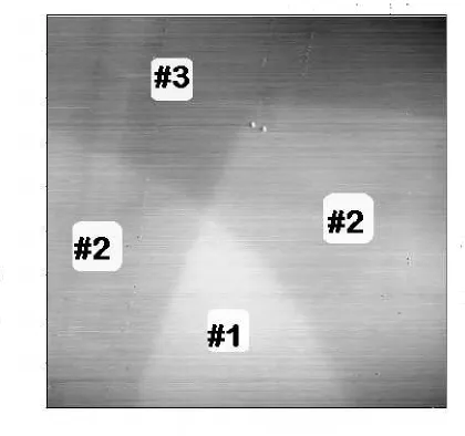 Figure 1: STM image of the HOPG–surface (0.9µm× 0.9µm), taken with IT = 0.1 nA, VBias= 100 mV, showing three terraces numbered 1,2 and 3 which are separated by smooth stepsof monatomic height.