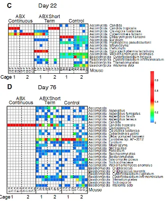 Figure 4-7.  Longitudinal analysis of fungal lineages inferred from ITS rRNA gene sequencing