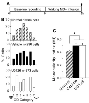 Figure 2.4.  ERK inhibition during waking MD does not impair ODP.  (A)  Experimental 