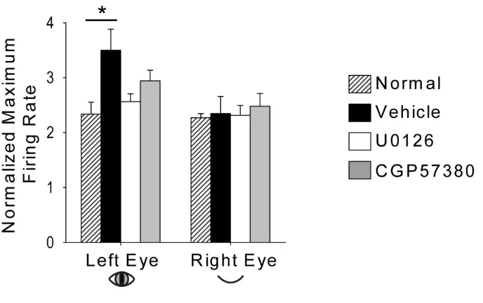 Figure 2.7. ERK and Mnk1 inhibition prevent enhancement of neuronal responses to 