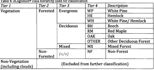 Table 4: eCognition® class hierarchy used for classification 