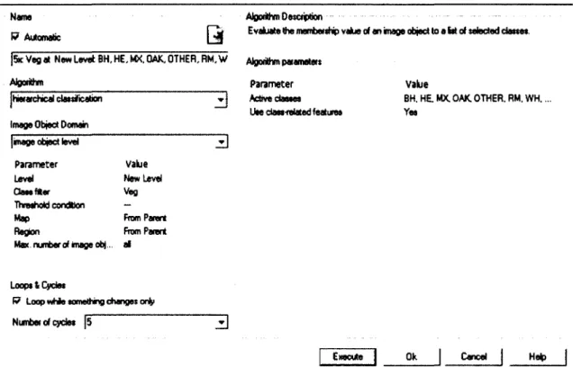 Figure 5: Dialog box used to perform multi-resolution segmentation on tier-4 classes 