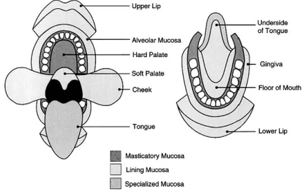 Figure 2: Steps involved in sublimation 