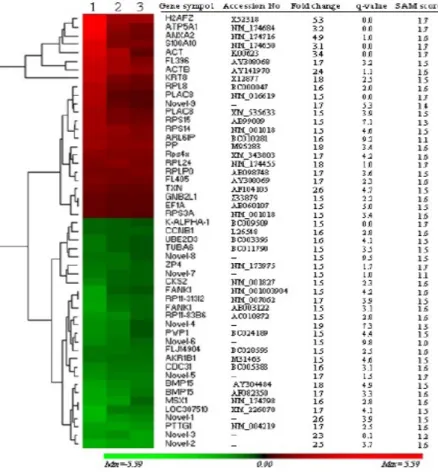 Figure 1: Hierarchical  clustering and heatmap of 51 differentially expressed  genes. The red blocks represent up- up-regulated genes while the green blocks represent down-up-regulated genes in oocytes recovered at growth phase