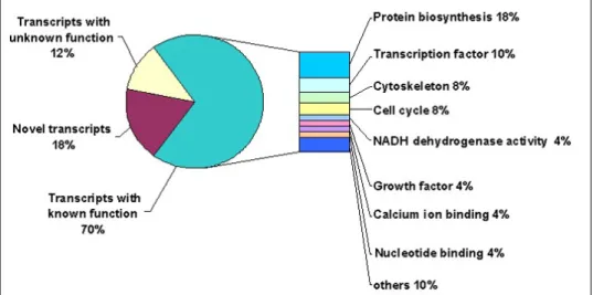 Figure 2: Differentially expressed genes as classified based on the Gene Ontology Consortium classifications (http://