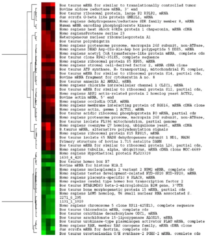 Figure 6: Ontology classification for differentially expressed transcripts between biopsies derived from blastocysts  resulted n no pregnancy and calf delivery