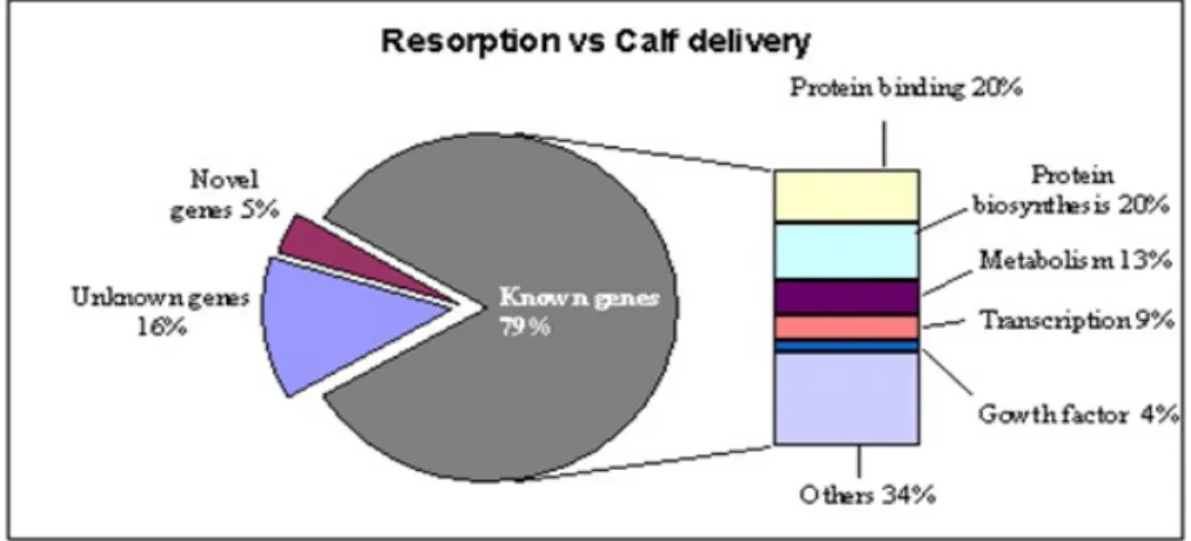 Figure 7: Ontology classification for differentially expressed transcripts between biopsies derived from blastocysts  resulted in resorption and calf delivery