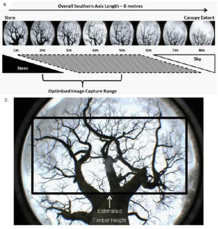 Figure 11  A schematic showing the optimised range for image capture (a), and 