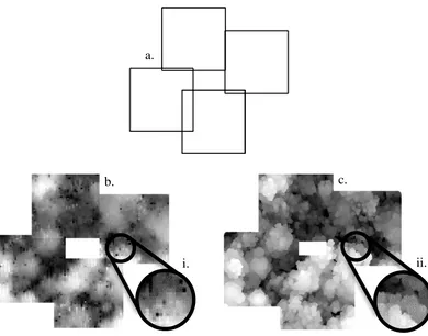 Figure 1  A visualisation of CHM’s from LiDAR data, using two different techniques. a