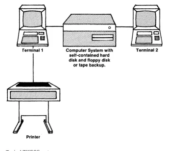 Figure 1.5. Typical THEOS system 