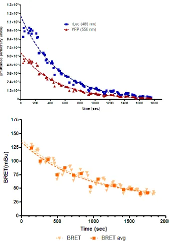 Figure 8: Decay in BRET and component emissions over time.  HEK 293 cells were transfected with rLuc- TPWT (donor, 0.25µg) + YFP- TPWT (acceptor, 0.75µg)
