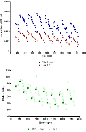 Figure 10: Decay in BRET and component emission measurements after initial modifications to BRET protocol