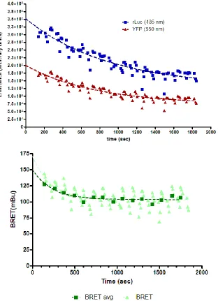 Figure 11: Decay in BRET and component emission measurements after final modifications to BRET protocol