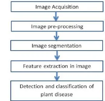 Fig 1  Basic Steps for Plant disease Detection and Classification 