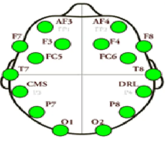 Fig. 1.3  Sensors around the scalp  Table 1.1 