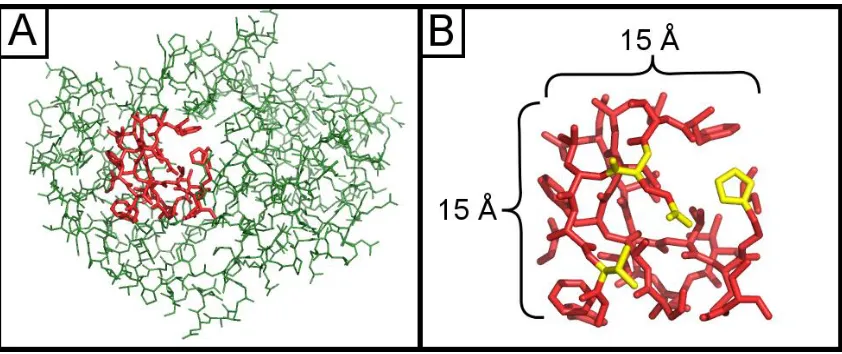 Figure 1 - Subdivision of protein structures.  (A) An interior page highlighted in red from a protein of unknown function (PDB ID = 2FSQ), illustrating the maximum scale of search queries