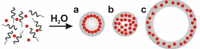 Figure 2.1. Self-assembly of nanoparticles and block copolymers.  (a) Magneto-core/shell 