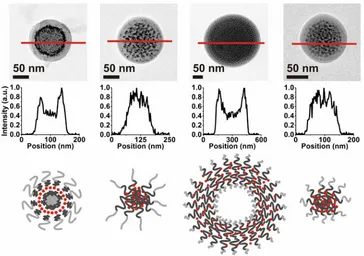 Figure 2.5.  Structural characterization of three different self-assembly structures.  STEM images 