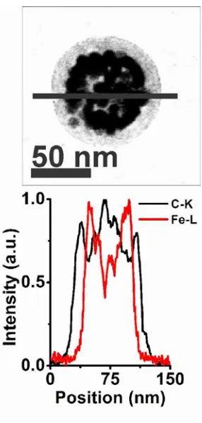 Figure 2.7.  STEM image with corresponding EELS characterization of a magneto-core/shell 