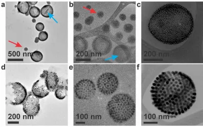 Figure 2.9.  Comparison of conventional and cryo-TEM images for magneto-polymersomes.  (a-