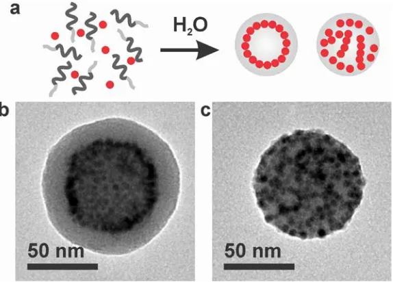 Figure 3.1.  (a) Schematic representation of two distinct particle arrangements within polymeric 