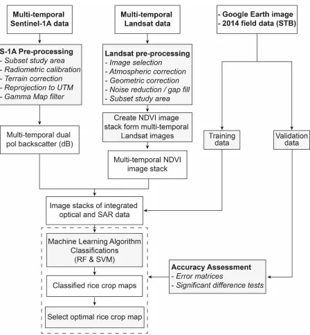 Figure 2. Framework for combining multi-temporal SAR and NDVI data for rice crop mapping in the study area