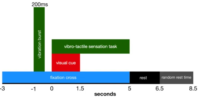 Figure 4. Experimental protocol for a single run. 