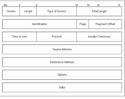 Figure 1.2  An IP packet. 