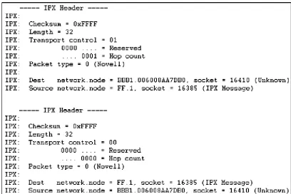 Figure 2.3  An IPX packet. 