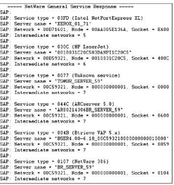 Figure 2.7  SAP header sniffer capture. 