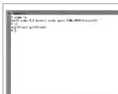 Figure 8-2.This xterm is a result of exploiting rpc.cmsd. The same results would happen if anattacker were to exploit rpc.ttdbserverd or rpc.statd