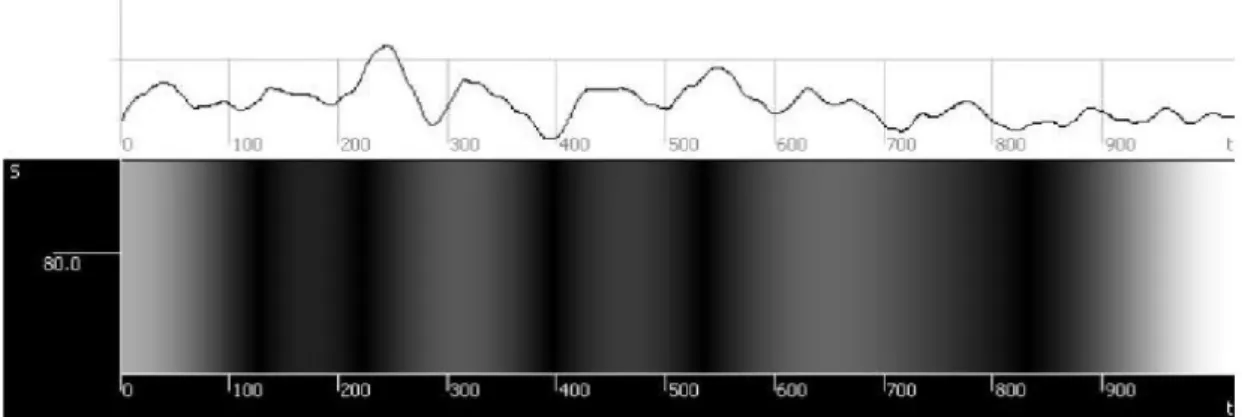 Figure 5.1: Input signal and its scalogram [18] 