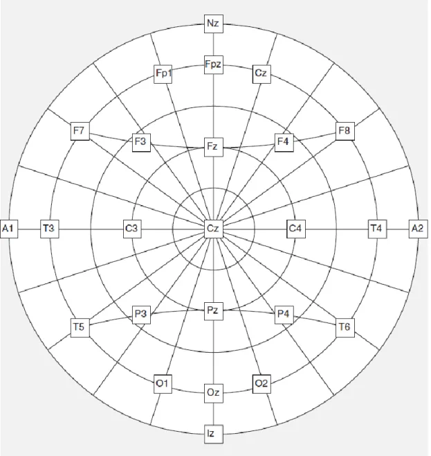 Figure 2.3: A conventional 10/20 system with 21 electrodes. A1 and A2 earlobe electrodes are used  as the reference electrodes