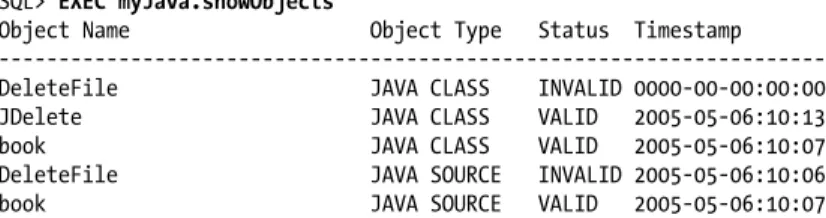 Table 27-4. Common DBMS_JAVA programs