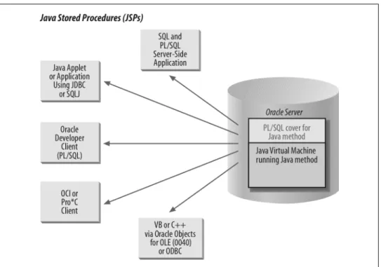 Figure 27-1. Accessing JSPs from within the Oracle database