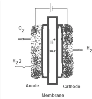 Figure 3: Proton exchange membrane (PEM) electrolysis: Proton exchange membrane (PEM) electrolysis  