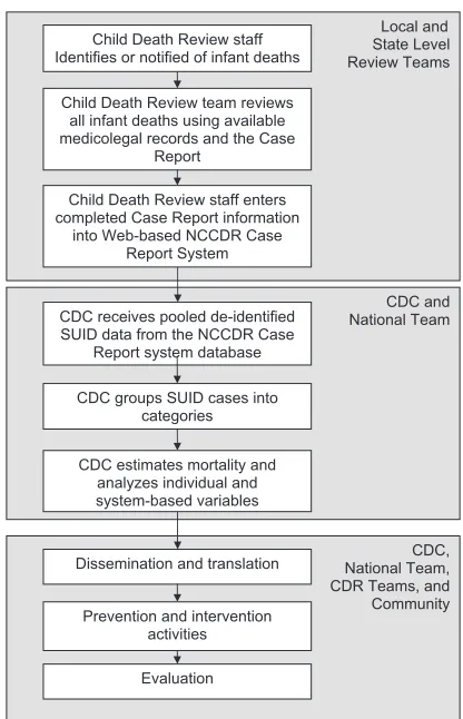 FIGURE 1SUID-CR program model.