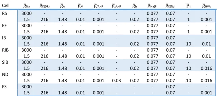 Table 4.3. The size of axosomatic and dendritic active conductances in neocortical model cells 