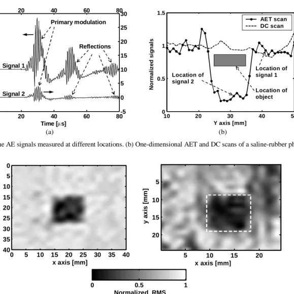 Figure 4 Two-dimensional AET images of (a) a saline-rubber phantom and (b) a tissue sample